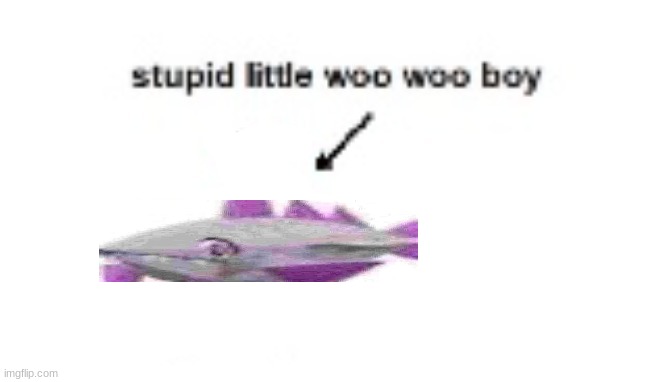 stupid little woo woo boy | image tagged in stupid little woo woo boy | made w/ Imgflip meme maker