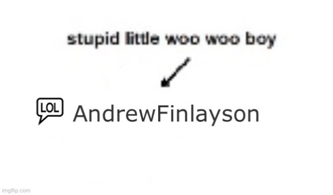 stupid little woo woo boy | image tagged in stupid little woo woo boy | made w/ Imgflip meme maker