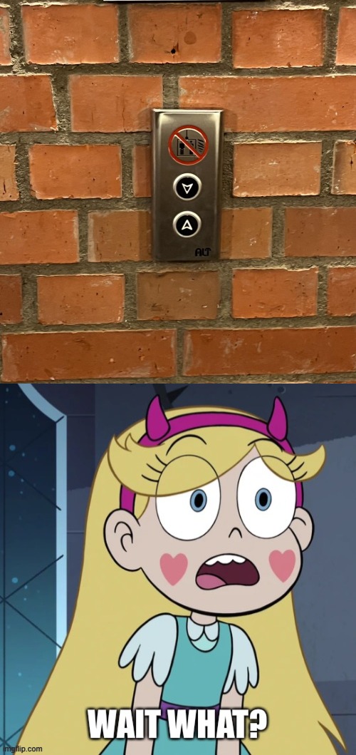 Just installed the buttons boss | image tagged in star butterfly wait what,star vs the forces of evil,elevator,memes,you had one job,failure | made w/ Imgflip meme maker