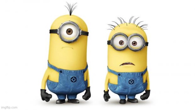 Minion Duo | image tagged in minion duo | made w/ Imgflip meme maker