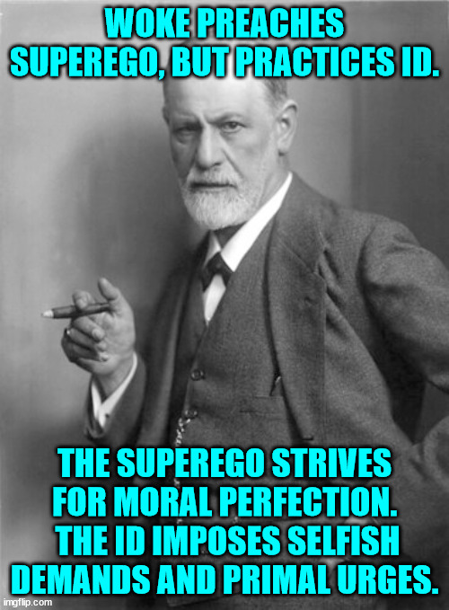 Woke is a sickness... | WOKE PREACHES SUPEREGO, BUT PRACTICES ID. THE SUPEREGO STRIVES FOR MORAL PERFECTION.  THE ID IMPOSES SELFISH DEMANDS AND PRIMAL URGES. | image tagged in woke,sickness | made w/ Imgflip meme maker