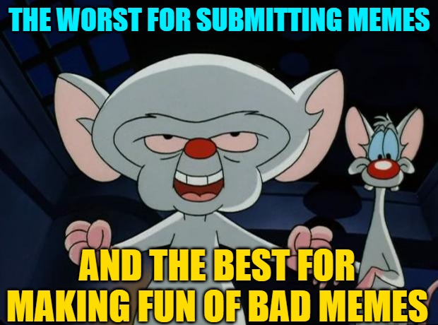 Pinky and the Brain | THE WORST FOR SUBMITTING MEMES AND THE BEST FOR MAKING FUN OF BAD MEMES | image tagged in pinky and the brain | made w/ Imgflip meme maker