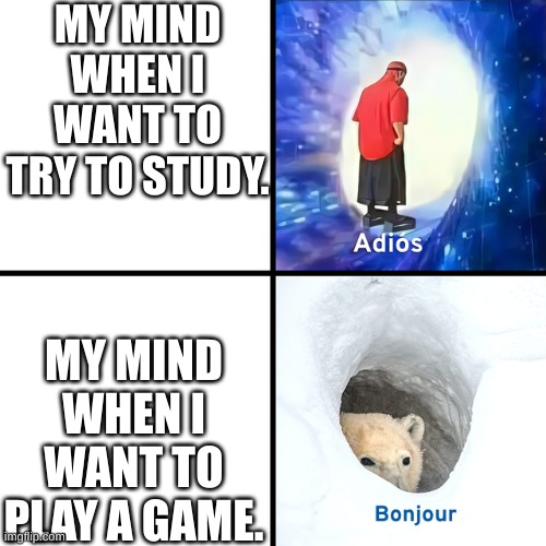 Adios Bonjour | MY MIND WHEN I WANT TO TRY TO STUDY. MY MIND WHEN I WANT TO PLAY A GAME. | image tagged in adios bonjour | made w/ Imgflip meme maker