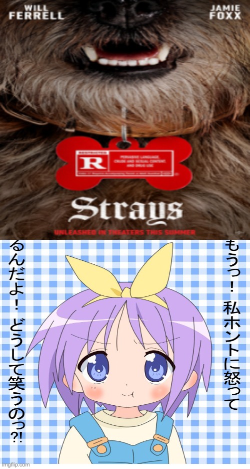 Tsukasa Hiiragi Hates Strays (2023) | image tagged in tsukasa hiiragi | made w/ Imgflip meme maker