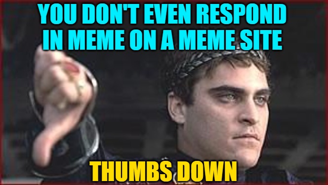 Thumbs down | YOU DON'T EVEN RESPOND IN MEME ON A MEME SITE THUMBS DOWN | image tagged in thumbs down | made w/ Imgflip meme maker