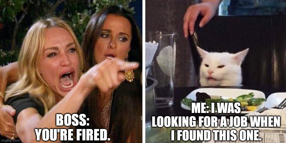 No worries | BOSS: YOU'RE FIRED. ME: I WAS LOOKING FOR A JOB WHEN I FOUND THIS ONE. | image tagged in smudge the cat,job,fired | made w/ Imgflip meme maker