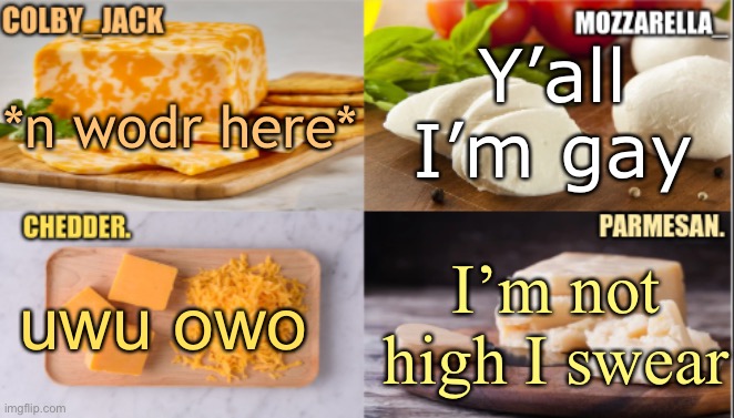 The Cheese Temp | Y’all I’m gay; *n wodr here*; uwu owo; I’m not high I swear | image tagged in the cheese temp | made w/ Imgflip meme maker