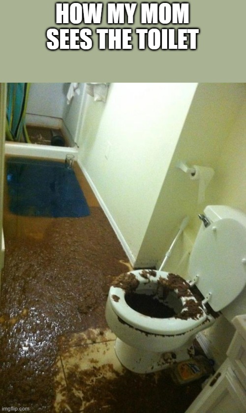 poop | HOW MY MOM SEES THE TOILET | image tagged in poop | made w/ Imgflip meme maker