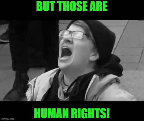 Screaming Liberal  | BUT THOSE ARE HUMAN RIGHTS! | image tagged in screaming liberal | made w/ Imgflip meme maker