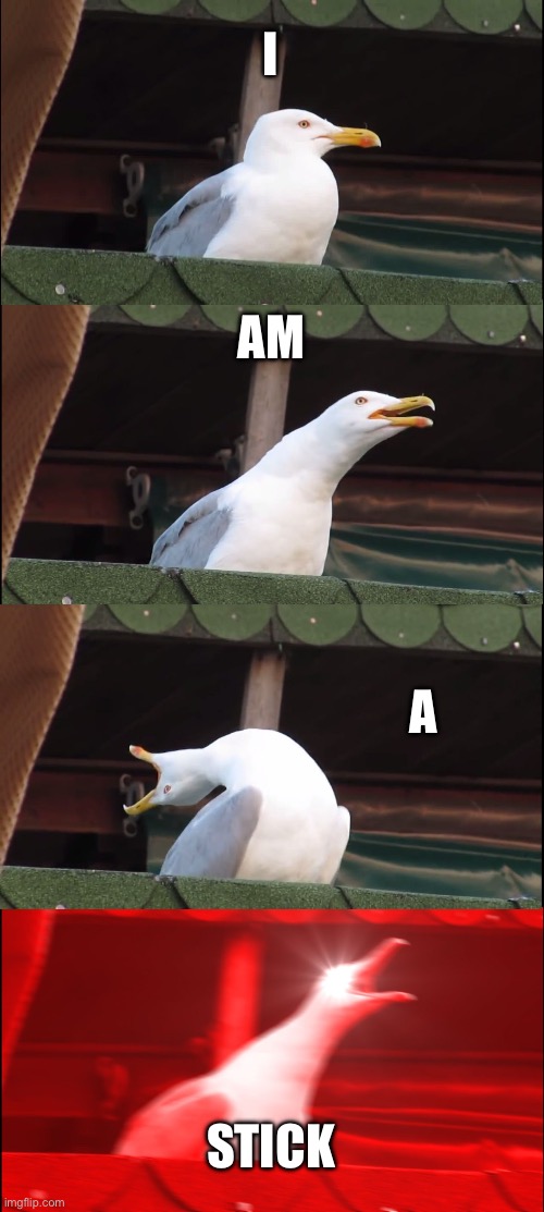I am a stick | I; AM; A; STICK | image tagged in memes,inhaling seagull | made w/ Imgflip meme maker