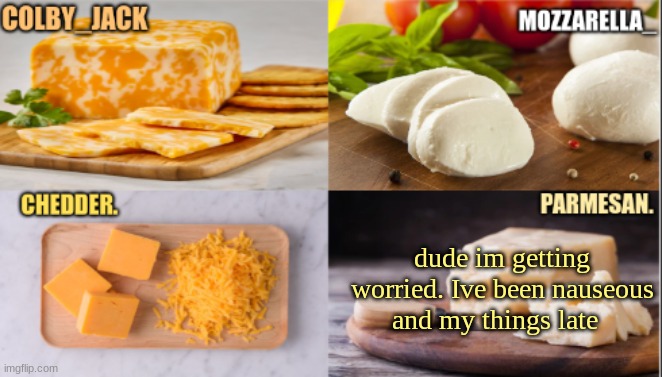 Yes, I am female | dude im getting worried. Ive been nauseous and my things late | image tagged in the cheese temp | made w/ Imgflip meme maker