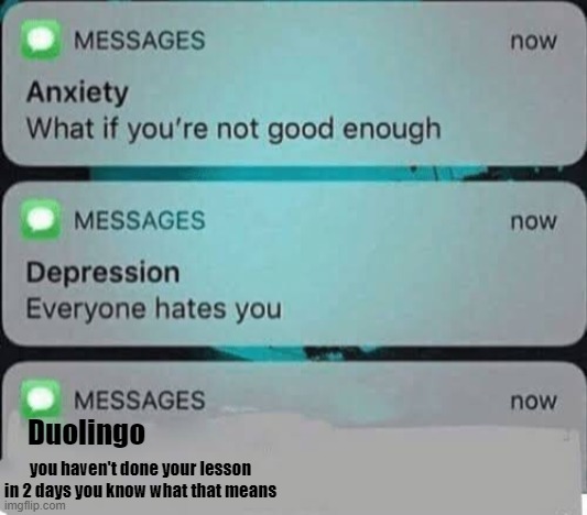 Anxiety/depression texts | Duolingo; you haven't done your lesson in 2 days you know what that means | image tagged in anxiety/depression texts | made w/ Imgflip meme maker