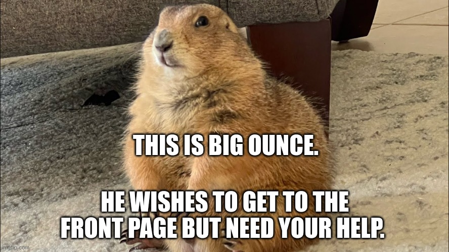 help him | THIS IS BIG OUNCE. HE WISHES TO GET TO THE FRONT PAGE BUT NEED YOUR HELP. | image tagged in mental illness | made w/ Imgflip meme maker