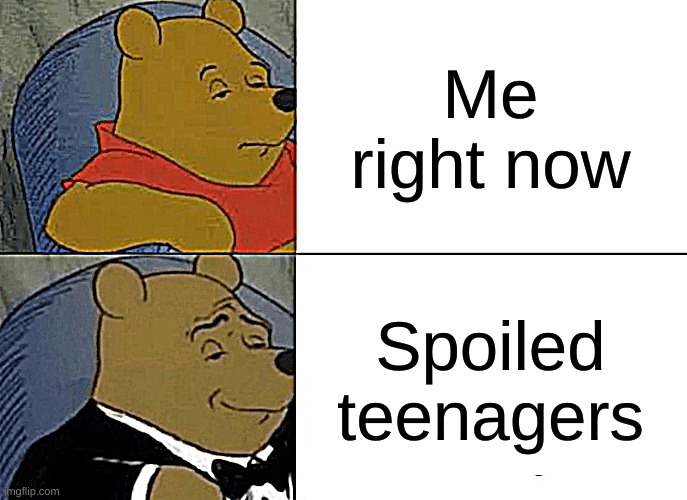 TRUE THOUGH | Me right now; Spoiled teenagers | image tagged in memes,tuxedo winnie the pooh | made w/ Imgflip meme maker