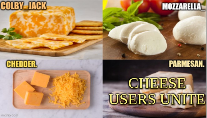 am i the only one online rn | CHEESE USERS UNITE | image tagged in the cheese temp | made w/ Imgflip meme maker