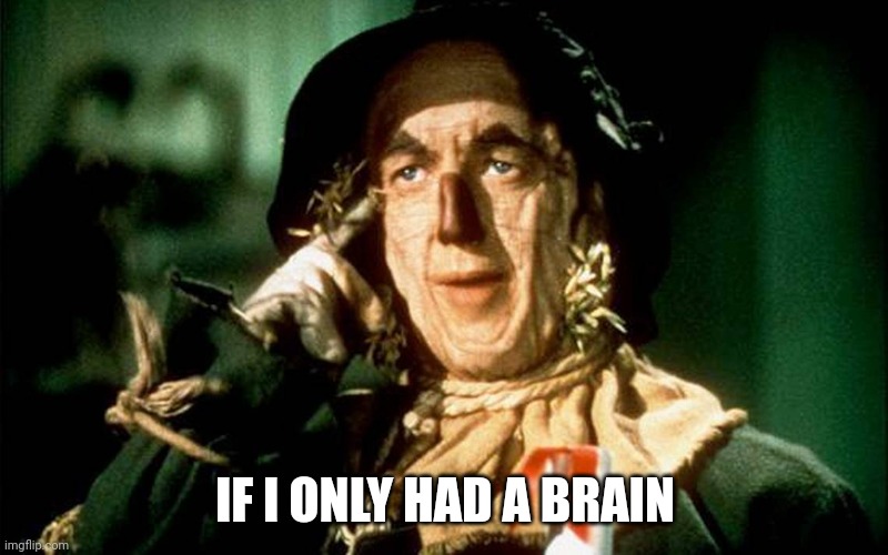 Brain | IF I ONLY HAD A BRAIN | image tagged in oz scarecrow | made w/ Imgflip meme maker