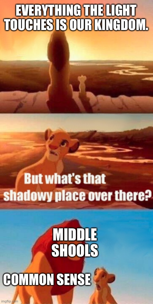 Simba Shadowy Place | EVERYTHING THE LIGHT TOUCHES IS OUR KINGDOM. MIDDLE SHOOLS; COMMON SENSE | image tagged in memes,simba shadowy place | made w/ Imgflip meme maker