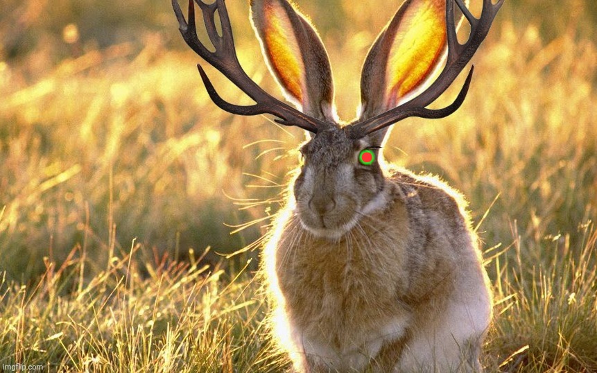 . | made w/ Imgflip meme maker