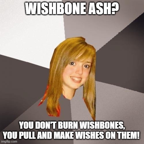 Musically Oblivious 8th Grader Wishbone Ash | WISHBONE ASH? YOU DON'T BURN WISHBONES, YOU PULL AND MAKE WISHES ON THEM! | image tagged in memes,musically oblivious 8th grader,wishbone ash | made w/ Imgflip meme maker