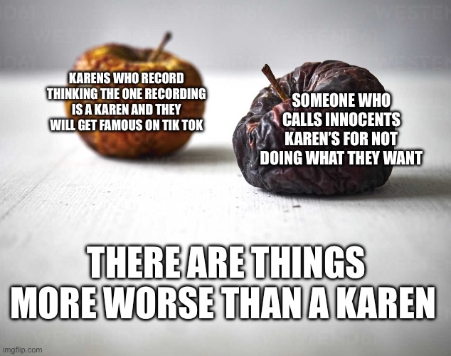 Yes |  KARENS WHO RECORD THINKING THE ONE RECORDING IS A KAREN AND THEY WILL GET FAMOUS ON TIK TOK; SOMEONE WHO CALLS INNOCENTS KAREN’S FOR NOT DOING WHAT THEY WANT; THERE ARE THINGS MORE WORSE THAN A KAREN | image tagged in rotten apples let's have a do over,yes | made w/ Imgflip meme maker