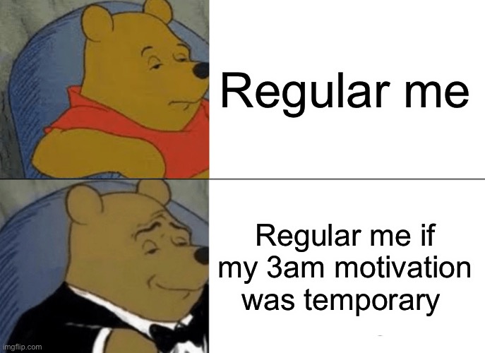 Motivate me pls | Regular me; Regular me if my 3am motivation was temporary | image tagged in memes,tuxedo winnie the pooh | made w/ Imgflip meme maker