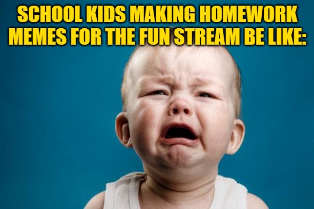 BABY CRYING | SCHOOL KIDS MAKING HOMEWORK MEMES FOR THE FUN STREAM BE LIKE: | image tagged in baby crying | made w/ Imgflip meme maker
