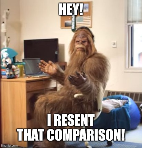 wtf sasquatch | HEY! I RESENT THAT COMPARISON! | image tagged in wtf sasquatch | made w/ Imgflip meme maker