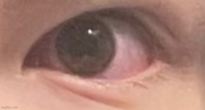 My honest reaction to that information: | made w/ Imgflip meme maker