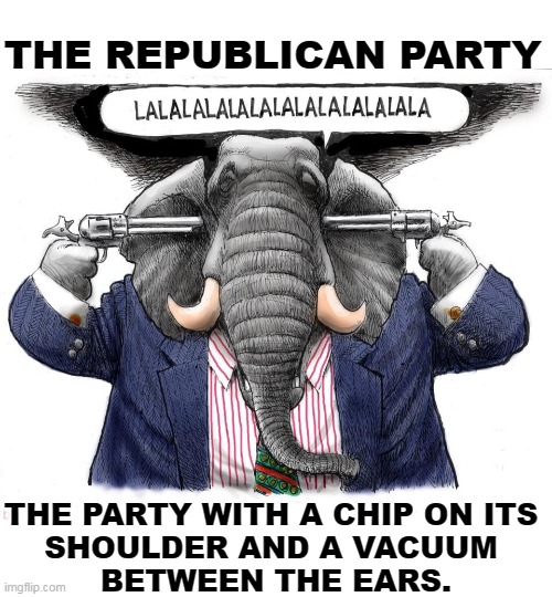 THE REPUBLICAN PARTY; THE PARTY WITH A CHIP ON ITS 
SHOULDER AND A VACUUM 
BETWEEN THE EARS. | image tagged in maga,qanon,republicans,angry,stupid | made w/ Imgflip meme maker