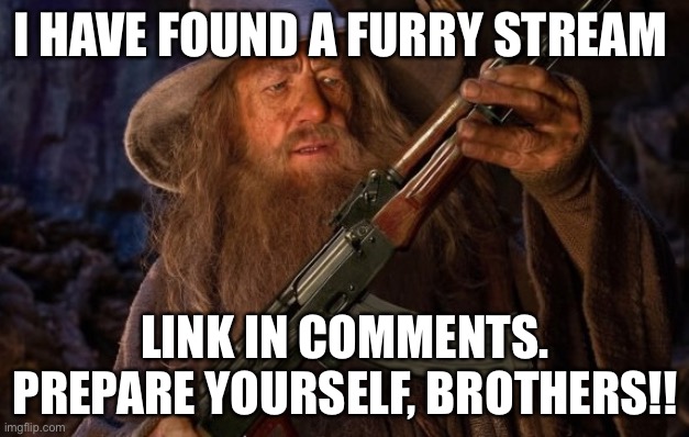 I’m new. Is this like the crusader stream, where we go to battle against the furries? | I HAVE FOUND A FURRY STREAM; LINK IN COMMENTS. PREPARE YOURSELF, BROTHERS!! | image tagged in gandalf ak47 | made w/ Imgflip meme maker