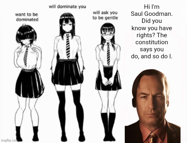 Domination stats | Hi I'm Saul Goodman. Did you know you have rights? The constitution says you do, and so do I. | image tagged in domination stats | made w/ Imgflip meme maker