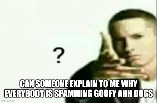 Eminem ? Lq | CAN SOMEONE EXPLAIN TO ME WHY EVERYBODY IS SPAMMING GOOFY AHH DOGS | image tagged in eminem lq | made w/ Imgflip meme maker