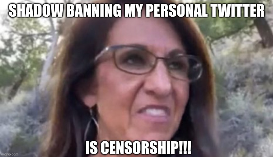 It's a violation of muh furst amendment rahts! | SHADOW BANNING MY PERSONAL TWITTER; IS CENSORSHIP!!! | image tagged in lauren boebert | made w/ Imgflip meme maker