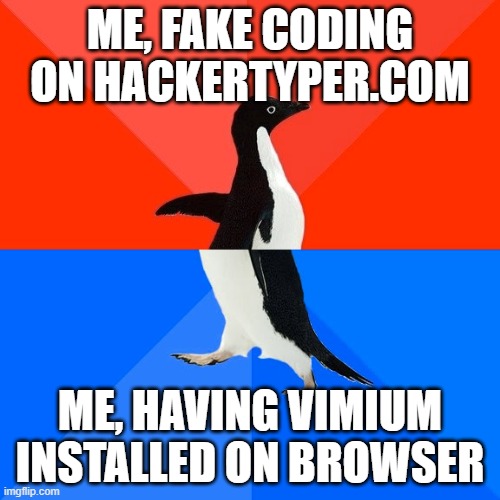 programming break! | ME, FAKE CODING ON HACKERTYPER.COM; ME, HAVING VIMIUM INSTALLED ON BROWSER | image tagged in memes,socially awesome awkward penguin | made w/ Imgflip meme maker