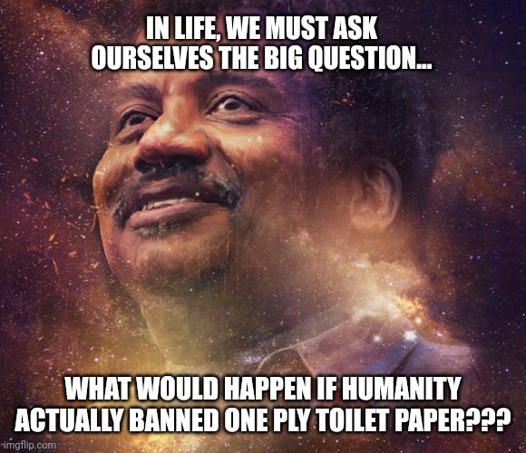 What would happen if humanity actually banned one ply toilet paper? | IN LIFE, WE MUST ASK OURSELVES THE BIG QUESTION... WHAT WOULD HAPPEN IF HUMANITY ACTUALLY BANNED ONE PLY TOILET PAPER??? | image tagged in neil degrasse tyson | made w/ Imgflip meme maker