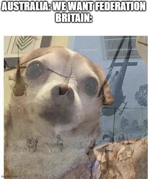 'cuz of the War of Independence with America | AUSTRALIA: WE WANT FEDERATION
BRITAIN: | image tagged in ptsd chihuahua,historical meme,memes | made w/ Imgflip meme maker