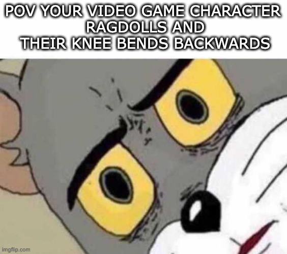 It makes me tense | POV YOUR VIDEO GAME CHARACTER 
RAGDOLLS AND THEIR KNEE BENDS BACKWARDS | image tagged in tom cat unsettled close up | made w/ Imgflip meme maker