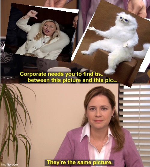 They're The Same Picture Meme | image tagged in memes,they're the same picture | made w/ Imgflip meme maker