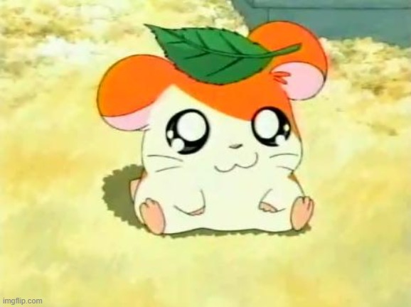 Hamtaro Meme | image tagged in memes,hamtaro | made w/ Imgflip meme maker