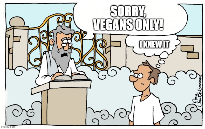 Vegans at the pearly gates | SORRY,
VEGANS ONLY! I KNEW IT | image tagged in saint peter,vegans | made w/ Imgflip meme maker