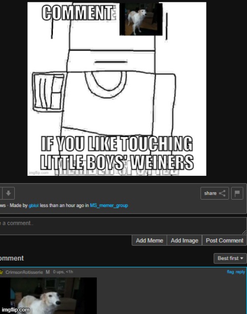 made w/ Imgflip meme maker