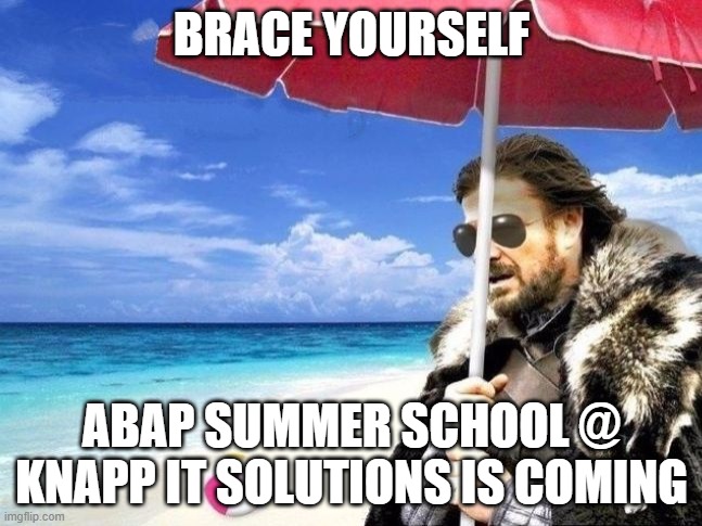 ABAP Summer School | BRACE YOURSELF; ABAP SUMMER SCHOOL @ KNAPP IT SOLUTIONS IS COMING | image tagged in summer is coming | made w/ Imgflip meme maker