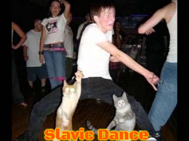Party hard cat | Slavic Dance | image tagged in party hard cat,slavic dance,slavic | made w/ Imgflip meme maker
