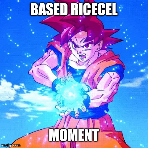 SSJG GOKU KAMEHAMEHA | BASED RICECEL; MOMENT | image tagged in ssjg goku kamehameha | made w/ Imgflip meme maker