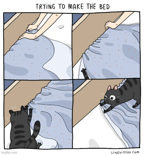 A Cat's Way Of Thinking | image tagged in memes,comics,make,bed,cats,oh i don't think so | made w/ Imgflip meme maker