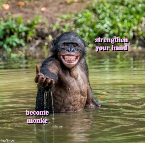 HAND OVER MONKE | strengthen your hand become monke strengthen your hand become monke | image tagged in hand over monke | made w/ Imgflip meme maker