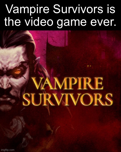 Vampire Survivors is
the video game ever. | made w/ Imgflip meme maker