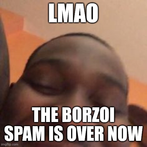 hehe | LMAO; THE BORZOI SPAM IS OVER NOW | image tagged in hehe | made w/ Imgflip meme maker