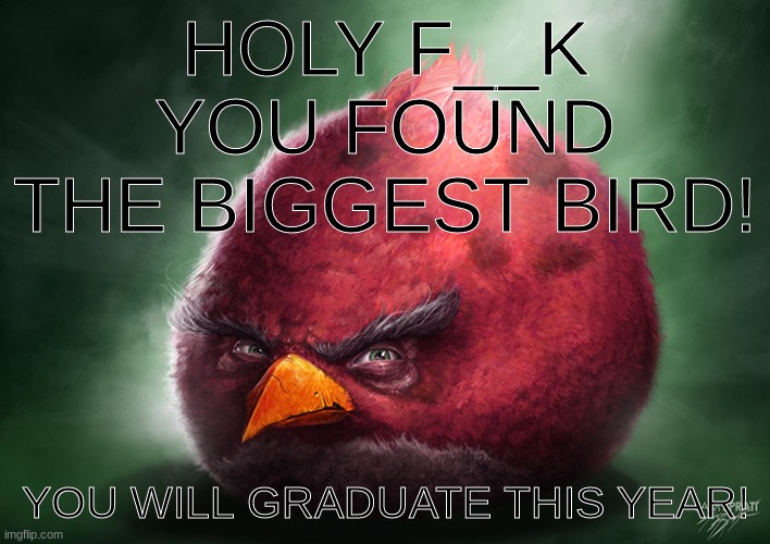 da biggest bird | HOLY F__K YOU FOUND THE BIGGEST BIRD! YOU WILL GRADUATE THIS YEAR! | image tagged in real terrence,biggest bird | made w/ Imgflip meme maker
