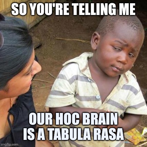 Third World Skeptical Kid | SO YOU'RE TELLING ME; OUR HOC BRAIN IS A TABULA RASA | image tagged in memes,third world skeptical kid | made w/ Imgflip meme maker